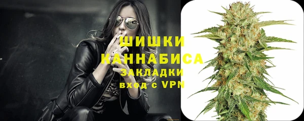 PSILOCYBIN Беломорск