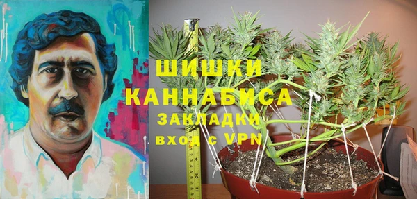 PSILOCYBIN Беломорск