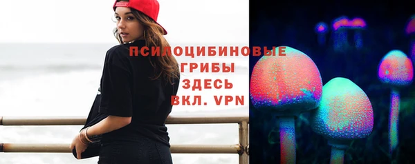 синтетический гашиш Пролетарск