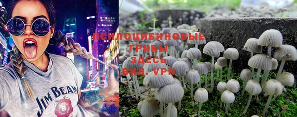 PSILOCYBIN Беломорск