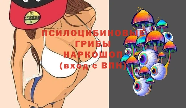 mdpv Белокуриха