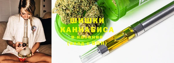 ПСИЛОЦИБИНОВЫЕ ГРИБЫ Приозерск